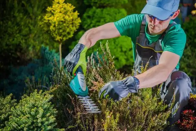 landscaping services Bayou Cane